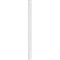 Ekena Millwork Raised Panel PVC Pilaster w/Decorative Capital & Base, 9"W x 120"H x 2"P PILP09X120RP02-2 - alternate 3